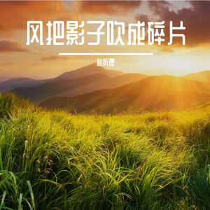 候鸟羽