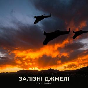 Залізні Джмелі