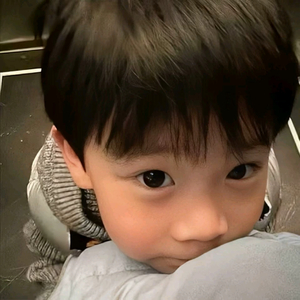 大梦归离(语录版)