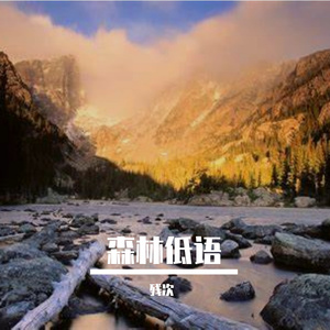 森林低语