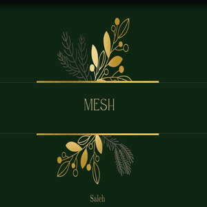 Mesh