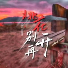 桃花别再开 (DJ版)
