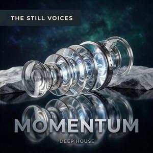 Momentum