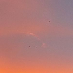 カタオモイ(cover:Aimer)