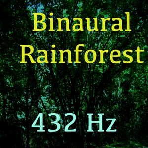 Binaural Rainforest