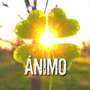 Ánimo
