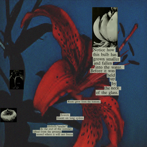 Anhedonia Laertios, Chosen Masochist Bitch