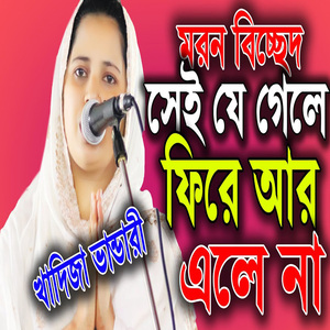 সেই যে গেলে ফিরে আর এলে না