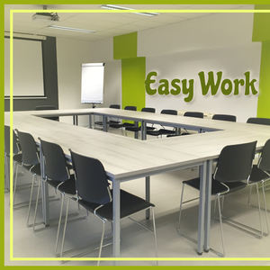 Piano and Violin Sonata No. 17 in C Major, K. 296: I. Allegro vivace