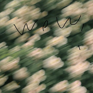 「踏春」POP RNB TYPE BEAT