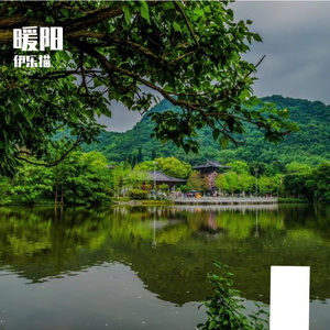 蒲公英绒毛与长笛的风语之约