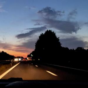 Followed by the roses