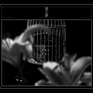 ROCK'N'ROLL GOD STAIR