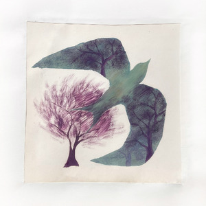 Ясной ночкой