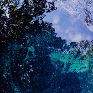 field (feat. Shinya)