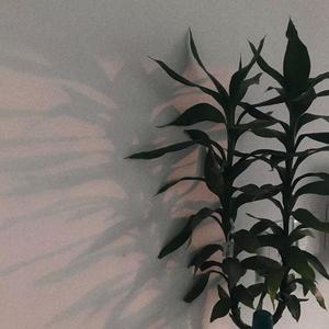 Chance.(Prod by Red killer)