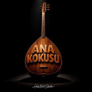 Ana kokusu