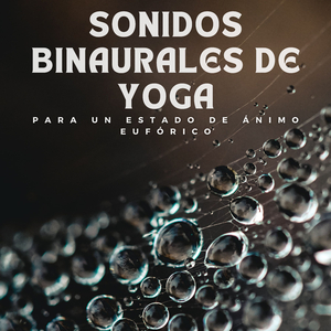 Equilibrio De Chakras Con Ritmos Binaurales