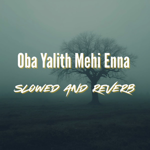 Oba Yalith Mehi Enna (Slowed and Reverb)