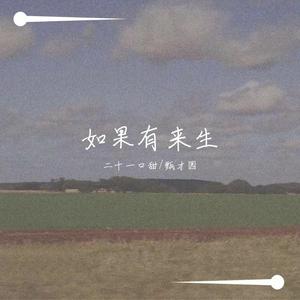 如果有来生