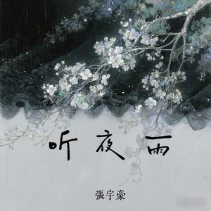 听夜雨