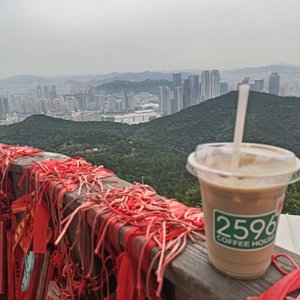 人世间的悲凉