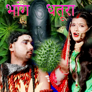 Bhang Dhatura