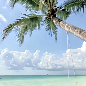 浪花节奏安眠静心曲 (八音盒)