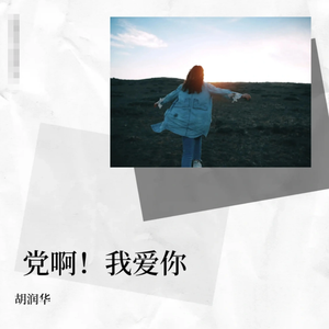 党啊，我爱你