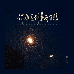 你永远不懂我伤悲