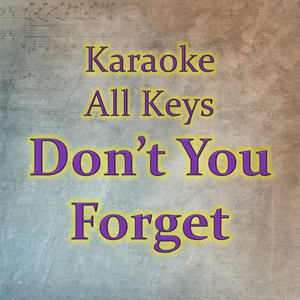 Don't You Forget (Karaoke Version)