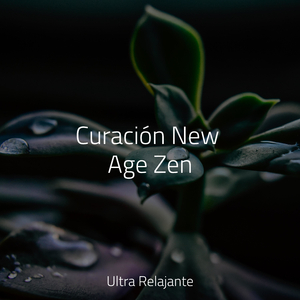 Duchas De Medianoche