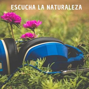 der Natur lauschen