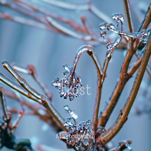 Frost