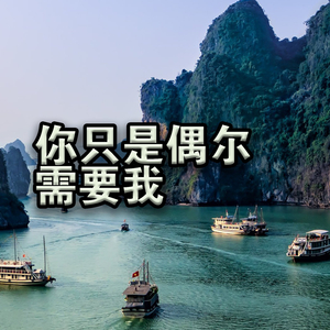 你只是偶尔需要我