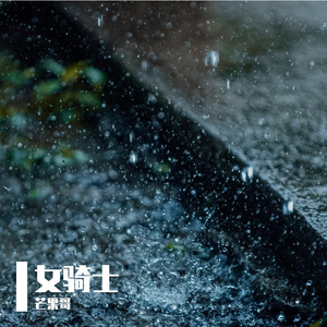 女骑士
