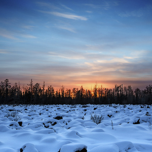 Snowdreams（原曲Bandari）