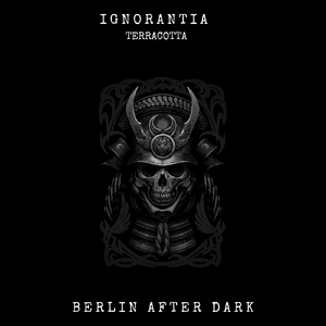 Terracotta (Ivan Deluxe Remix)