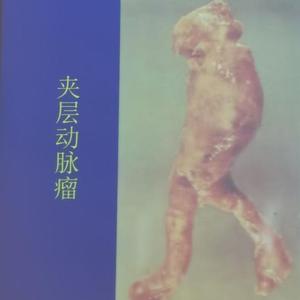 动物园装逼王（prod by XVIBE）