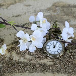 【POI/肖根】昨日风