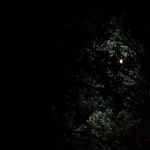 芯里 -  - 输出 - Stereo Out