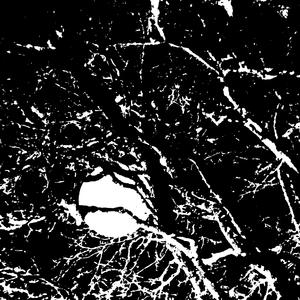 Non-existence