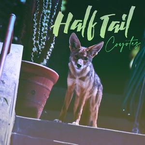 Coyotes
