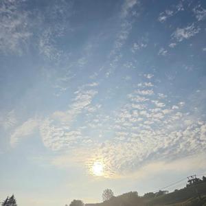 こころに咲く光の花(World Peace Song)