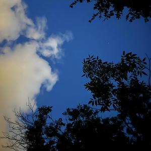 psyop immunity community 79