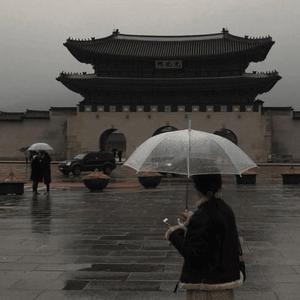 i wonder where we went