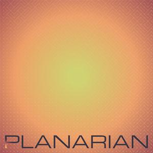 Planarian
