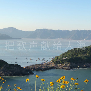 海的女儿