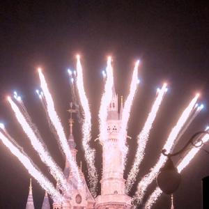 你就不要想起我（赵骏版）