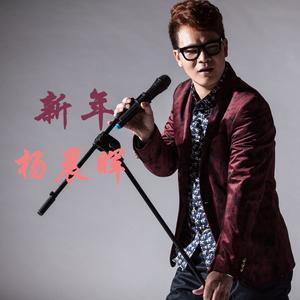 新年(贺岁版)
